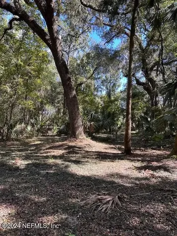 000-01 SE 159th Lane Umatilla FL 32784