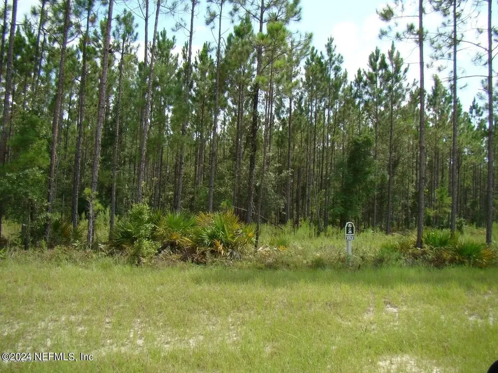 14098 Dunroven Drive Bryceville FL 32009