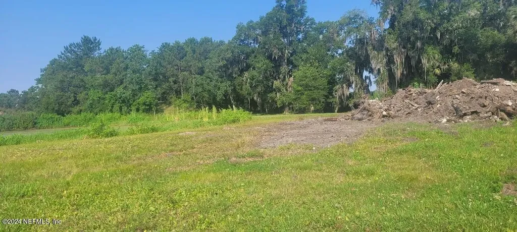 1393 Rosehill Avenue Green Cove Springs FL 32043