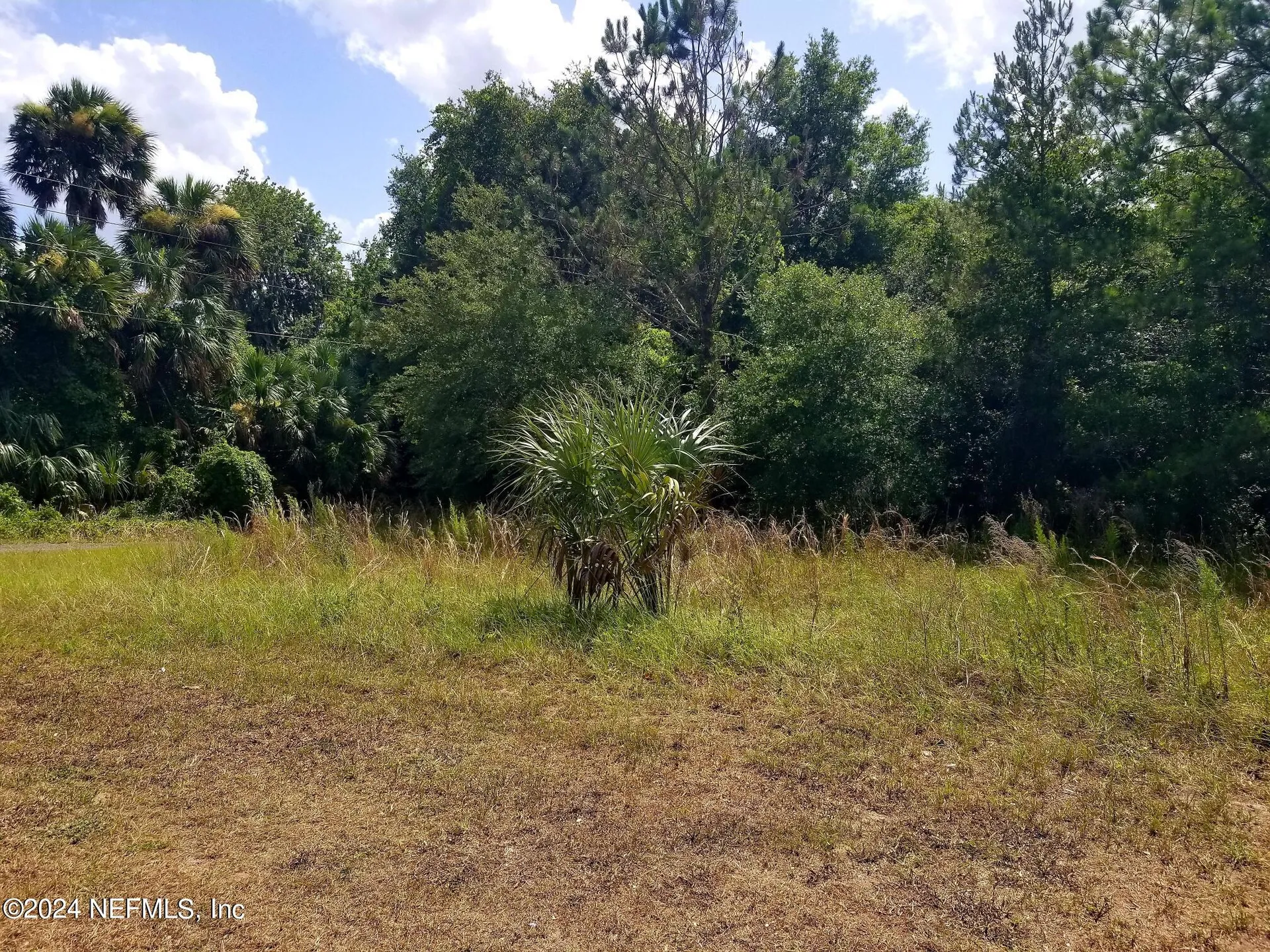 108 Siesta Circle Welaka FL 32193