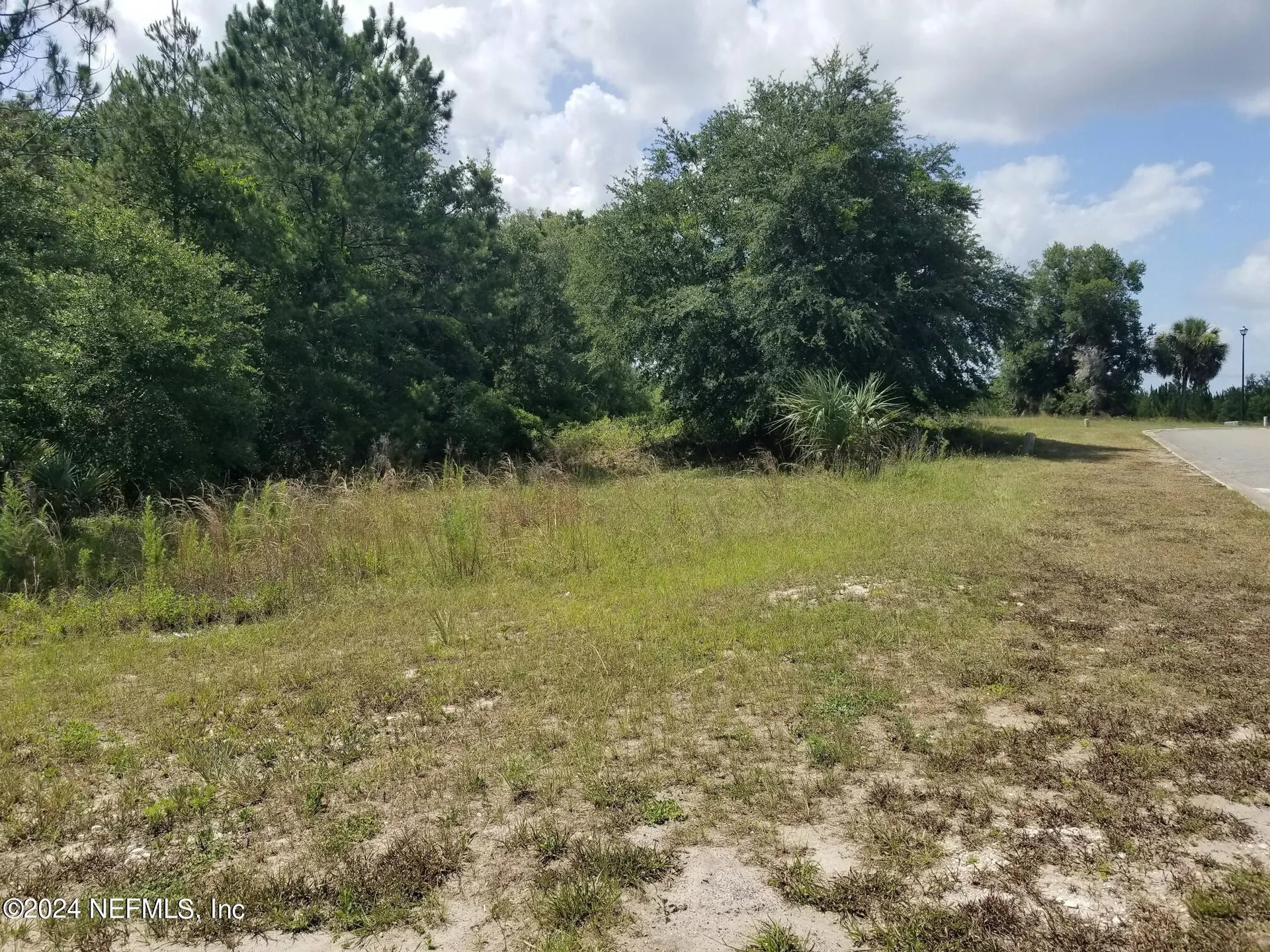 108 Siesta Circle Welaka FL 32193
