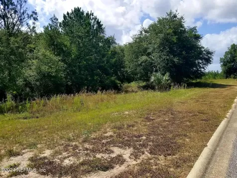 108 Siesta Circle Welaka FL 32193