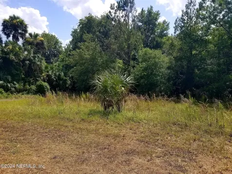 108 Siesta Circle Welaka FL 32193