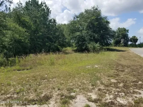 108 Siesta Circle Welaka FL 32193