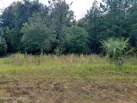 108 Siesta Circle Welaka FL 32193