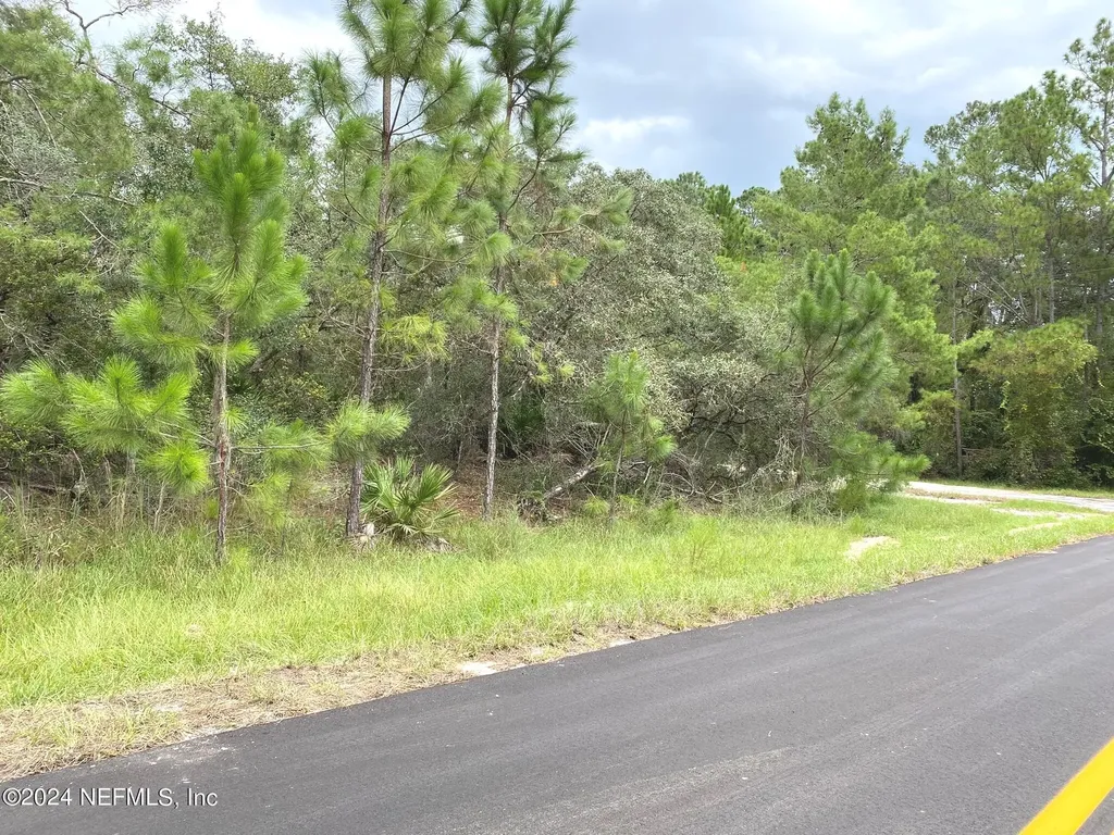 118 Spanish Trail Georgetown FL 32139