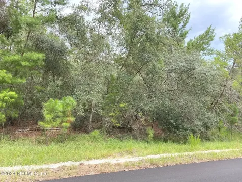 118 Spanish Trail Georgetown FL 32139