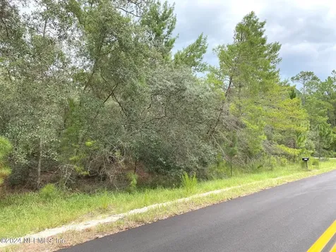 118 Spanish Trail Georgetown FL 32139