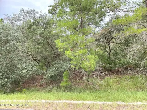 118 Spanish Trail Georgetown FL 32139