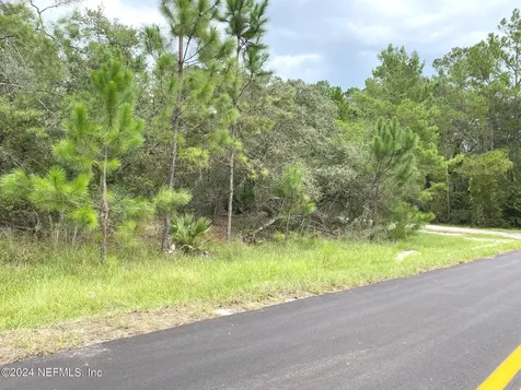 118 Spanish Trail Georgetown FL 32139