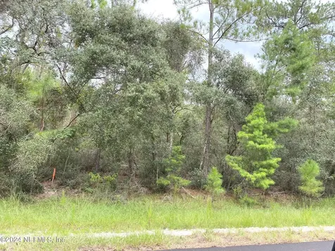 118 Spanish Trail Georgetown FL 32139