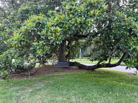 3807 San Jose Boulevard Jacksonville FL 32207