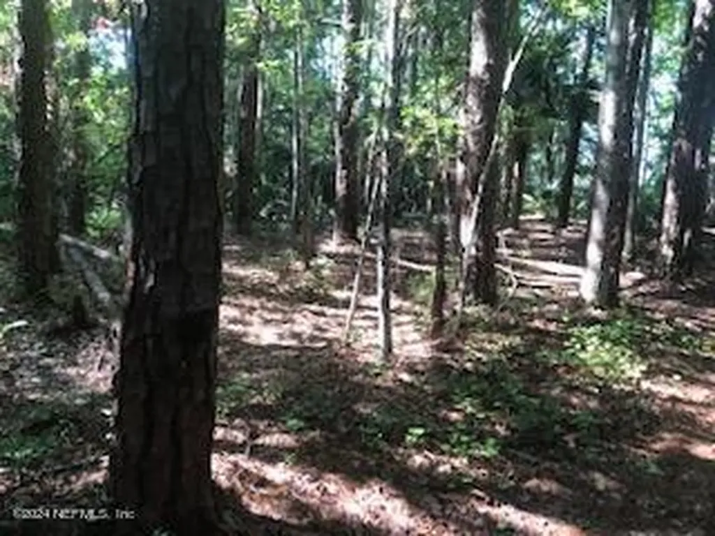 0 Flagler Boulevard St. Augustine FL 32095