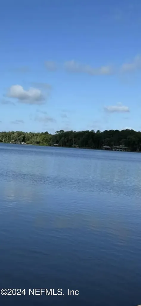 0 Street Lucie Street Florahome FL 32140