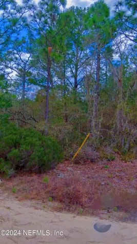 200 Easy Street Florahome FL 32140