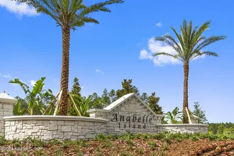 2884 Windsor Lakes Way Green Cove Springs FL 32043