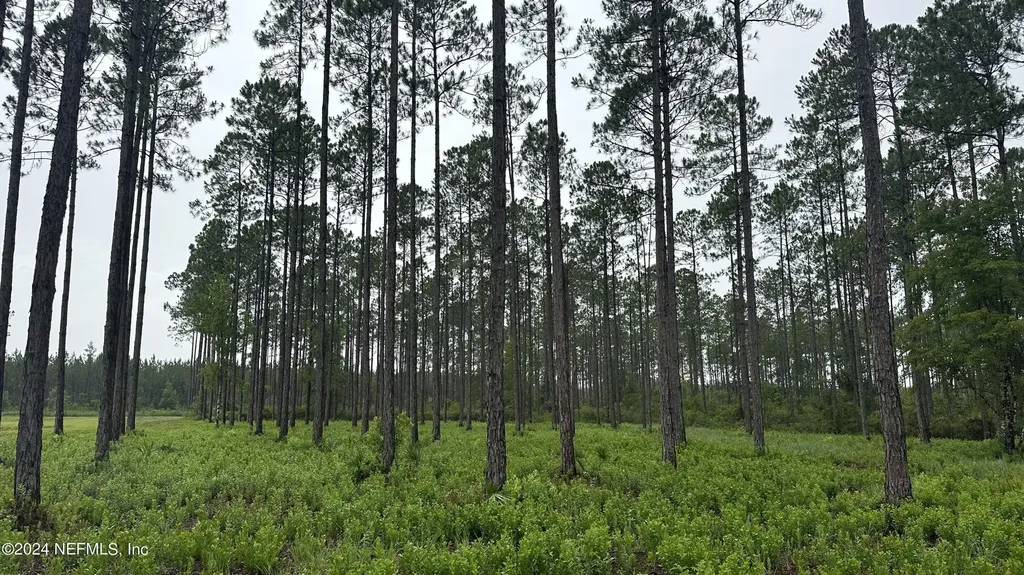Lot 5 NE Us Highway 301 Jacksonville FL 32234