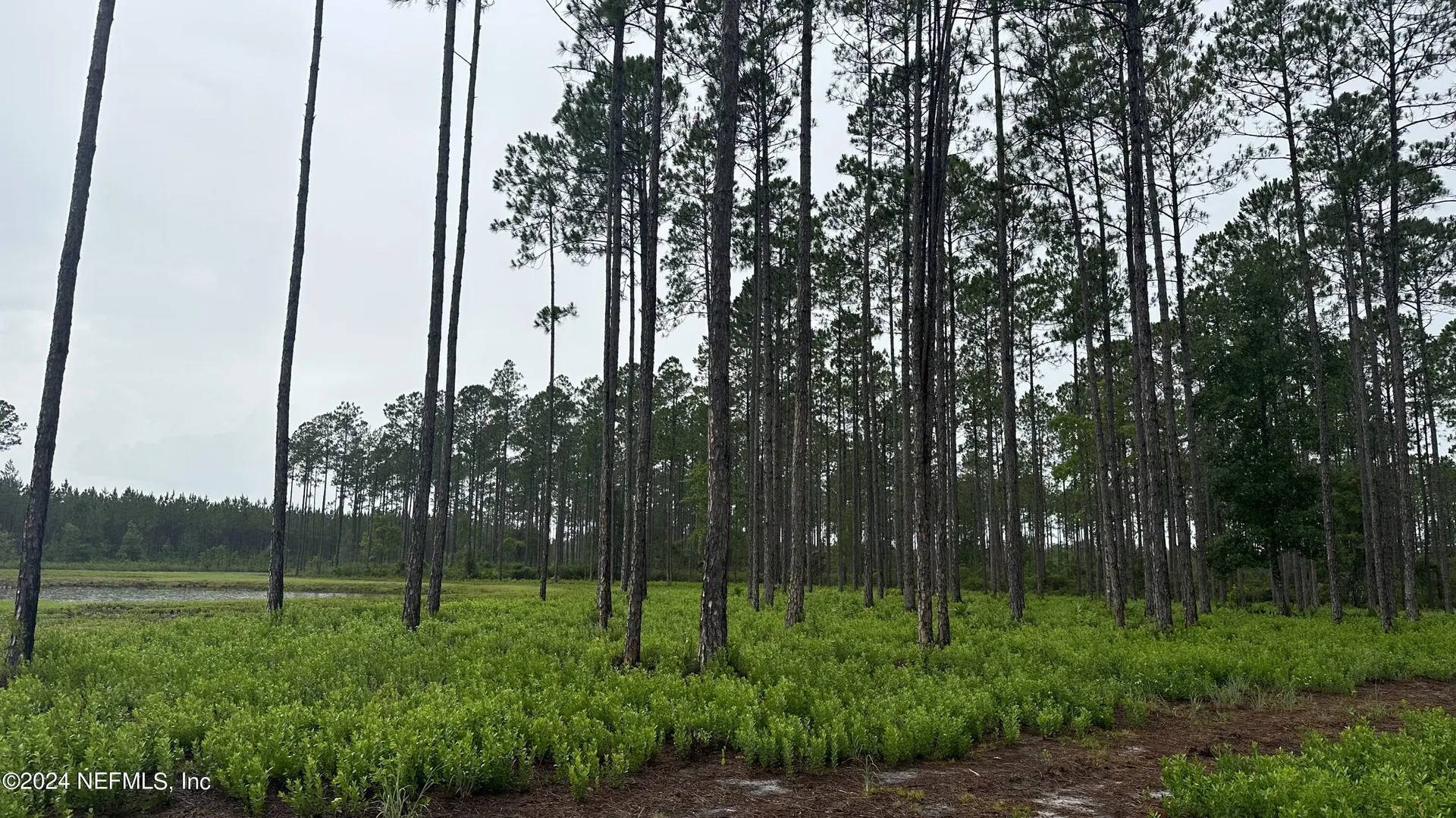 Lot 5 NE Us Highway 301 Jacksonville FL 32234