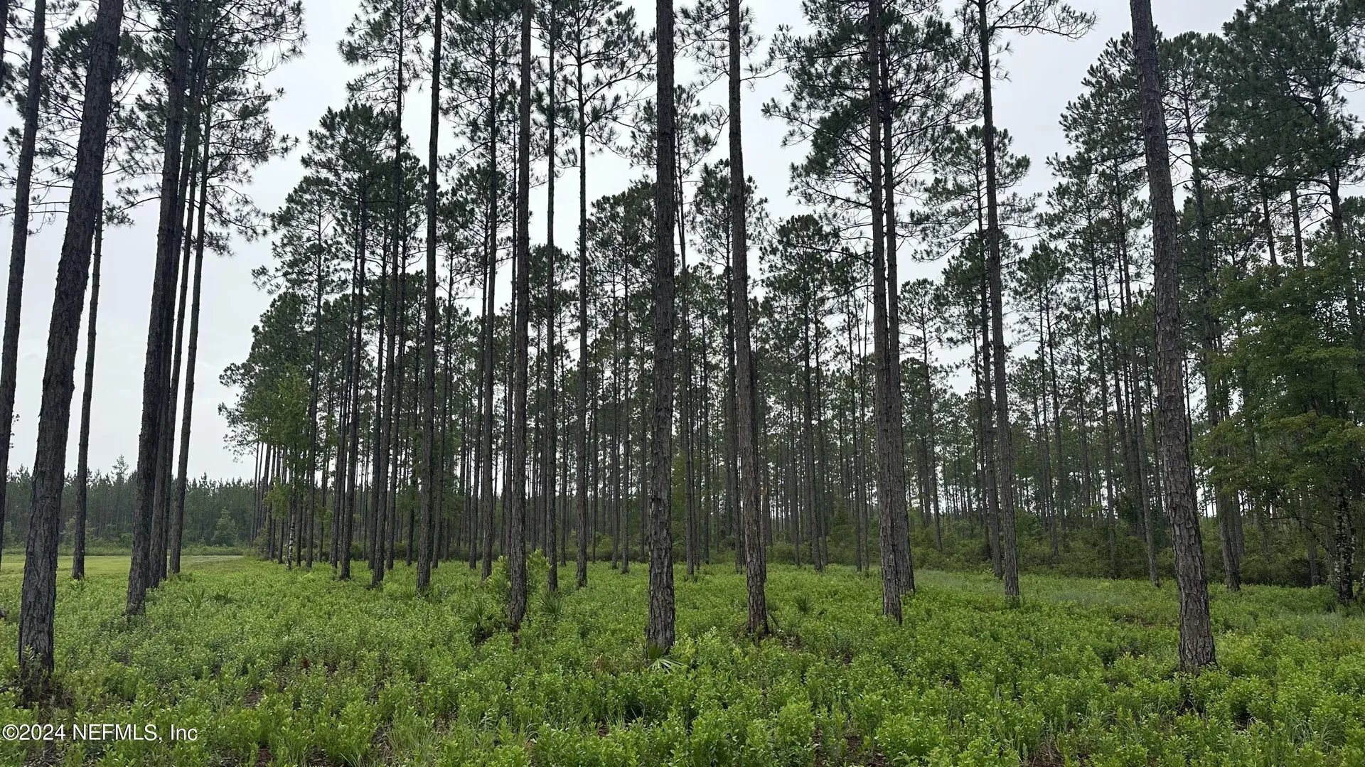 Lot 5 NE Us Highway 301 Jacksonville FL 32234