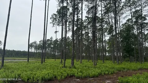 Lot 5 NE Us Highway 301 Jacksonville FL 32234