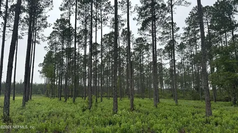Lot 5 NE Us Highway 301 Jacksonville FL 32234
