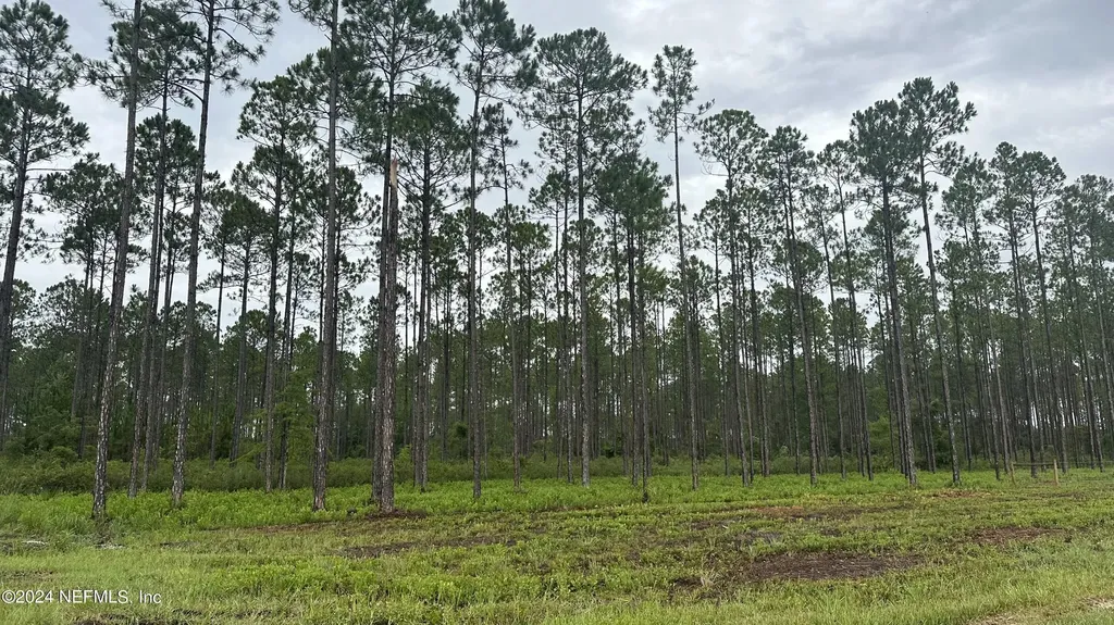 Lot 4 Us Highway 301 Jacksonville FL 32011