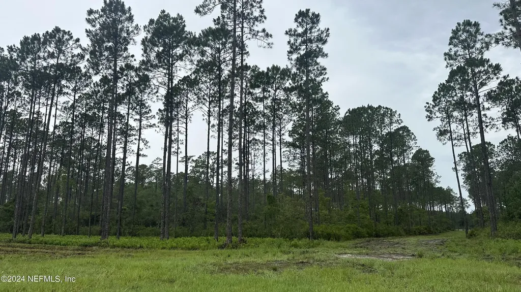 Lot 4 Us Highway 301 Jacksonville FL 32011