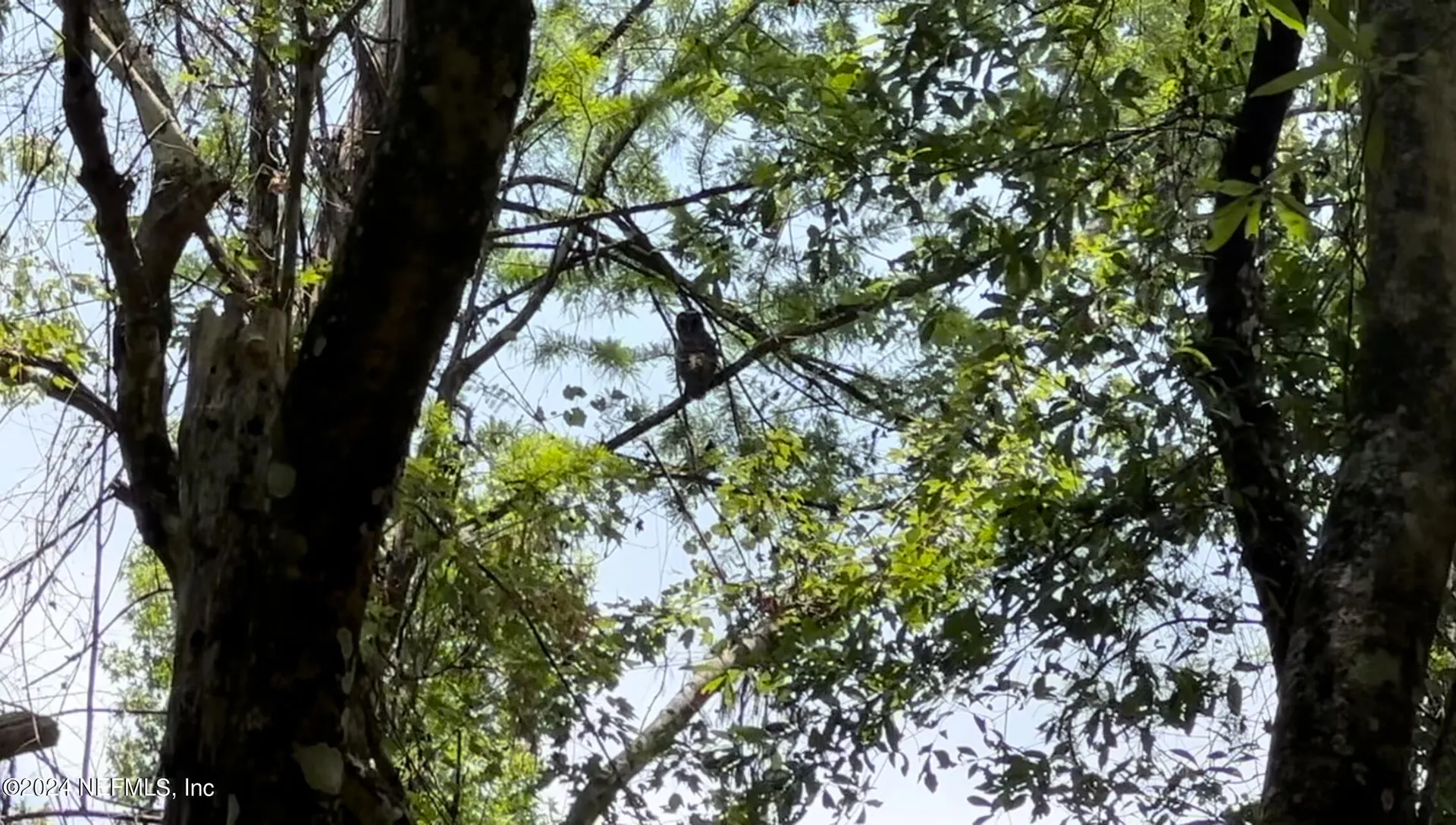 Lot 1 Us Highway 301 Bryceville FL 32209
