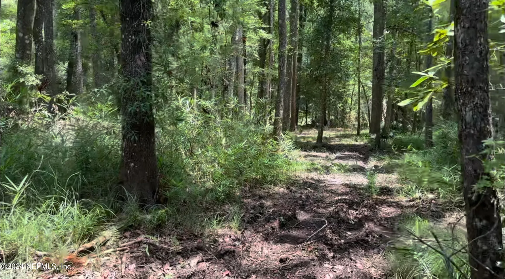 Lot 1 Us Highway 301 Bryceville FL 32209