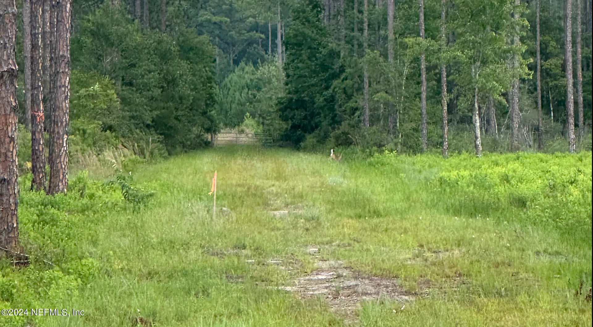 Lot 2 Us Highway 301 Bryceville FL 32009