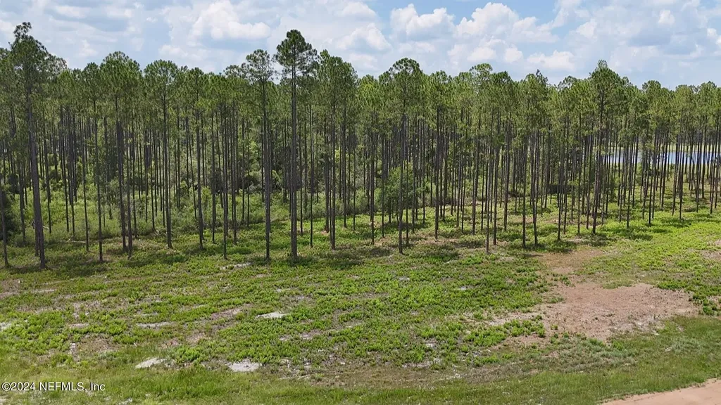 Lot 3 Us Highway 301 Bryceville FL 32009