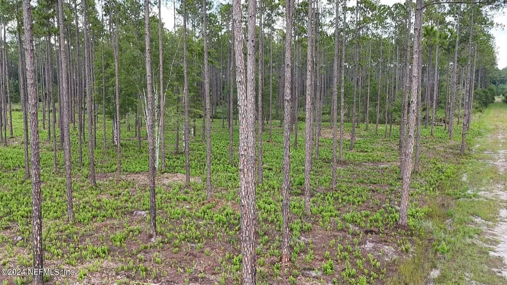Lot 3 Us Highway 301 Bryceville FL 32009