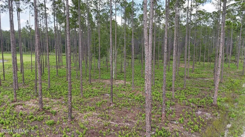 Lot 3 Us Highway 301 Bryceville FL 32009