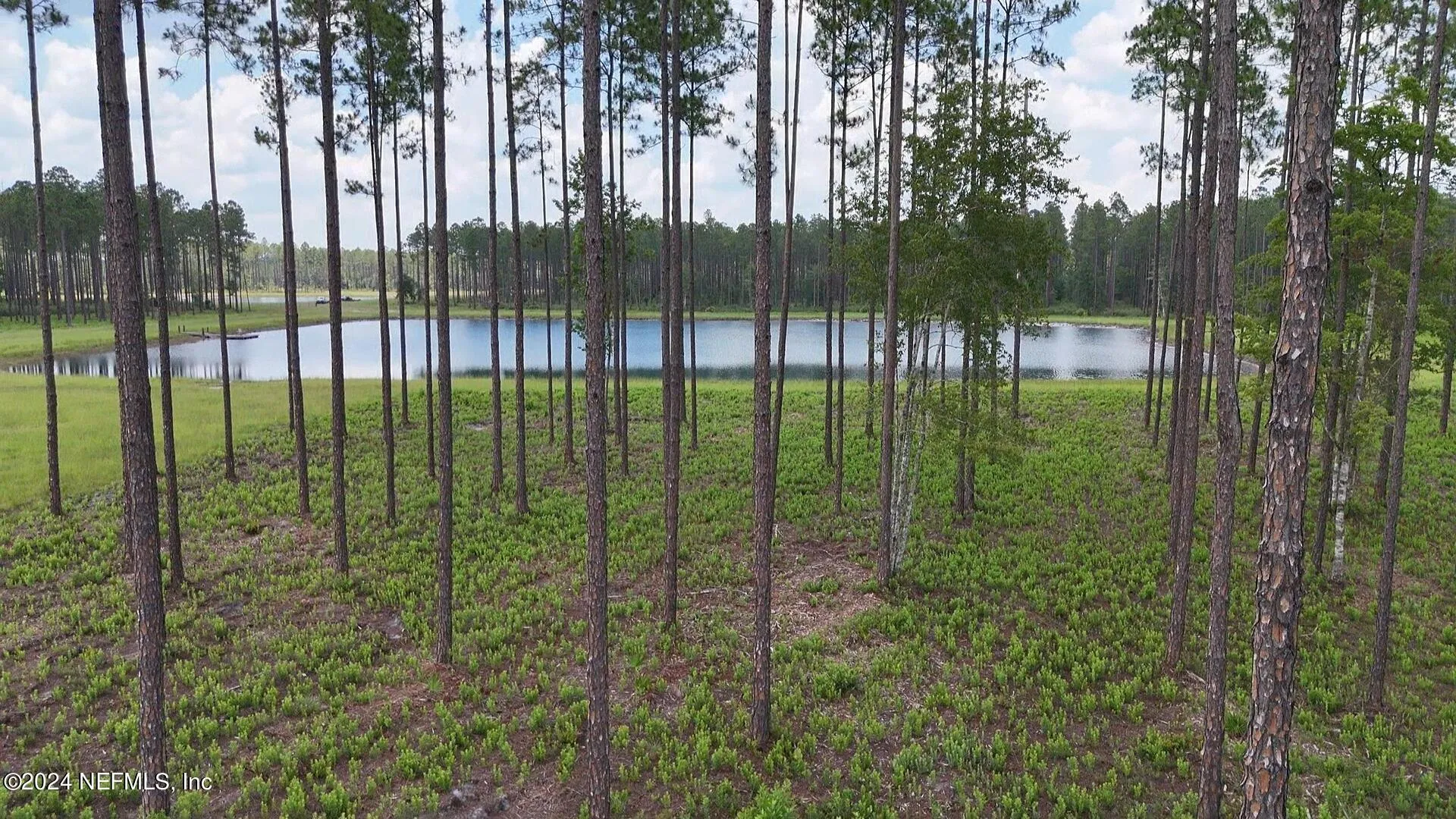 Lot 3 Us Highway 301 Bryceville FL 32009