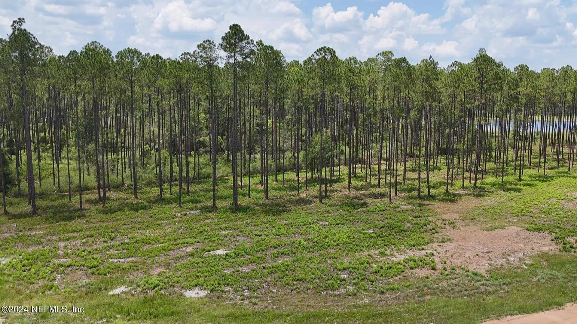 Lot 3 Us Highway 301 Bryceville FL 32009
