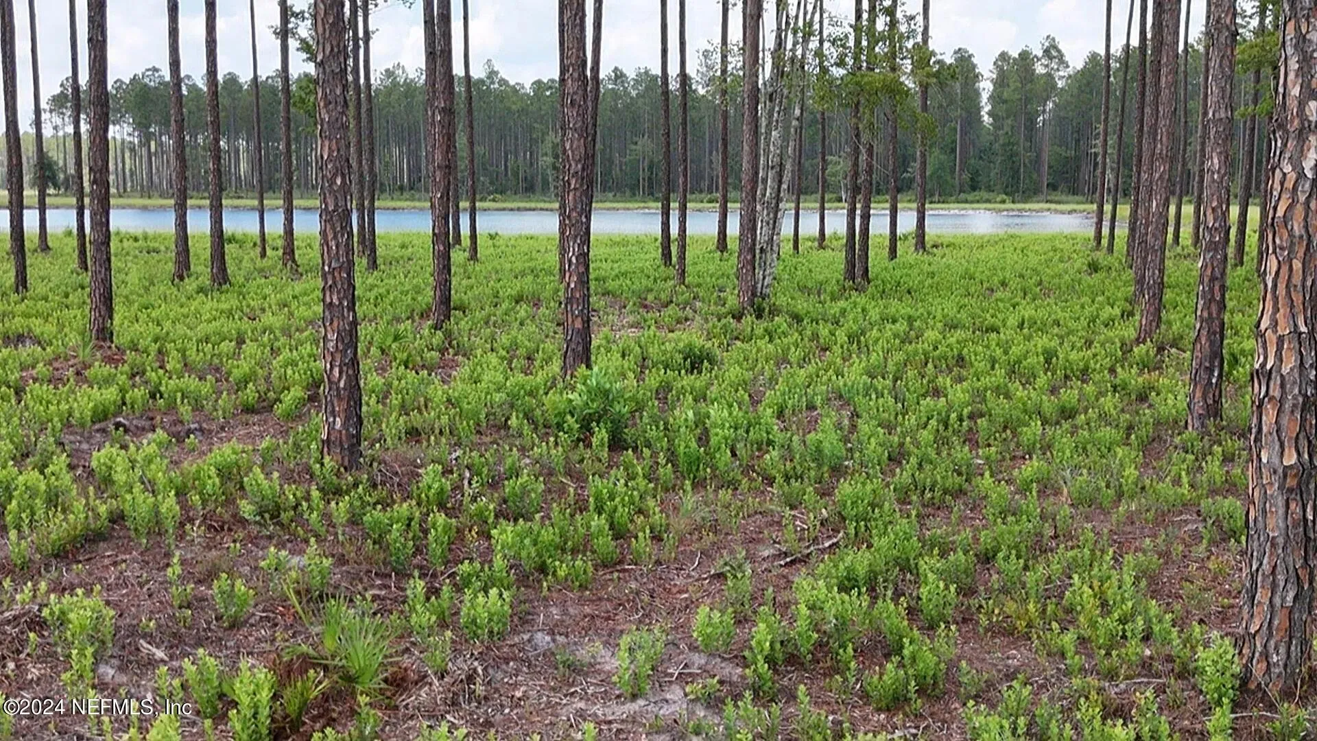 Lot 3 Us Highway 301 Bryceville FL 32009