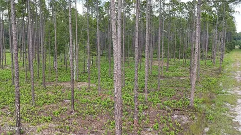 Lot 3 Us Highway 301 Bryceville FL 32009