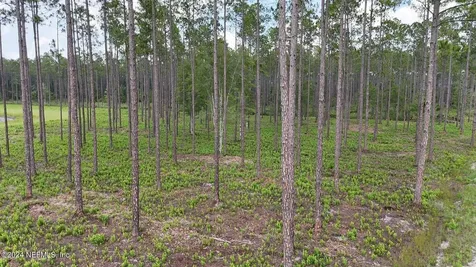 Lot 3 Us Highway 301 Bryceville FL 32009