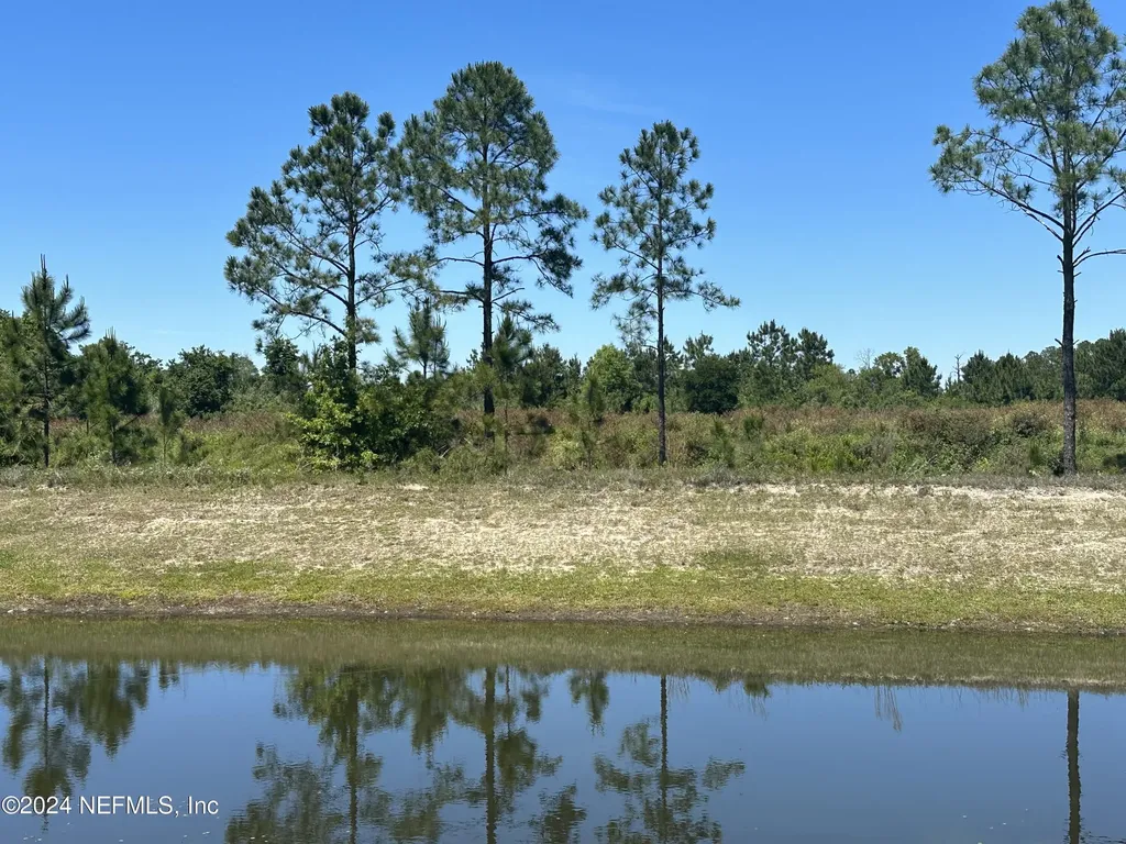 2529 Tall Grass Road Green Cove Springs FL 32043