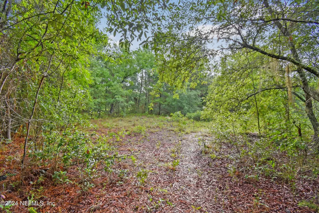 132 Kennedy Avenue Interlachen FL 32148