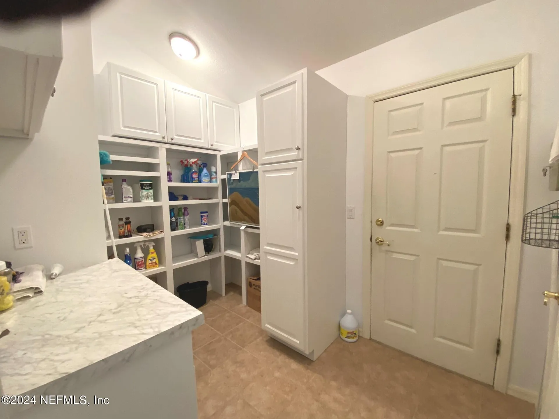 113 William Bartram Drive Crescent City FL 32112