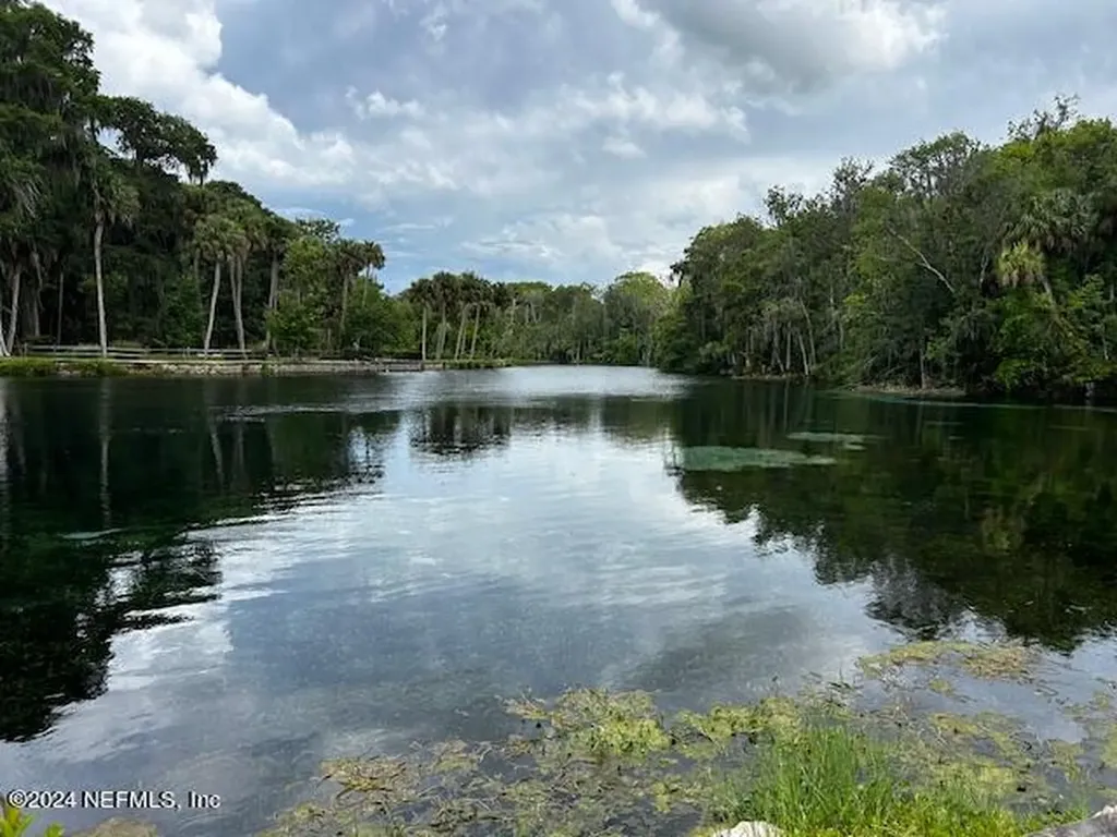 7205 NE 61st Avenue Road Silver Springs FL 34488