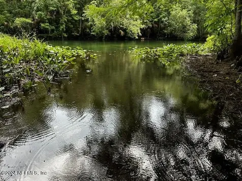 7205 NE 61st Avenue Road Silver Springs FL 34488