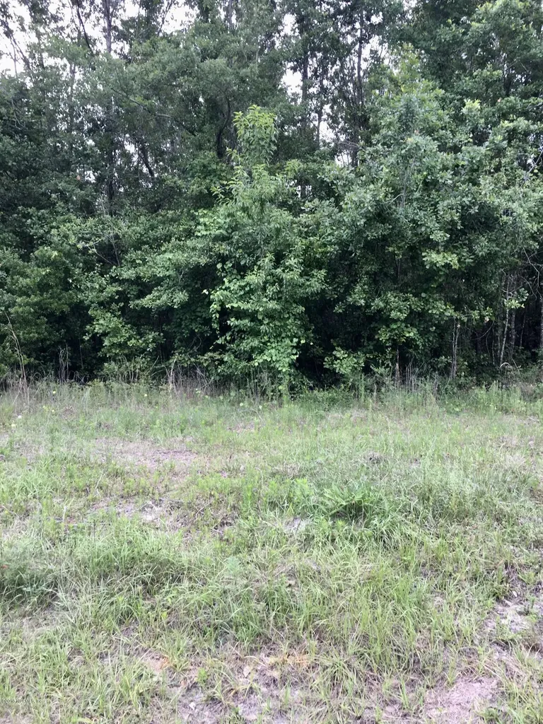 4057 E M Spence Road Macclenny FL 32063