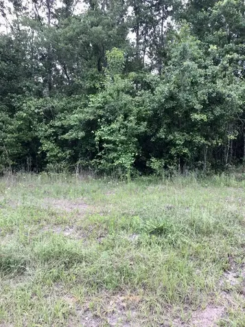 4057 E M Spence Road Macclenny FL 32063