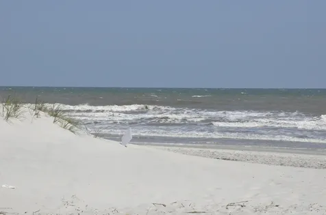 829 S 1st Street Jacksonville Beach FL 32250