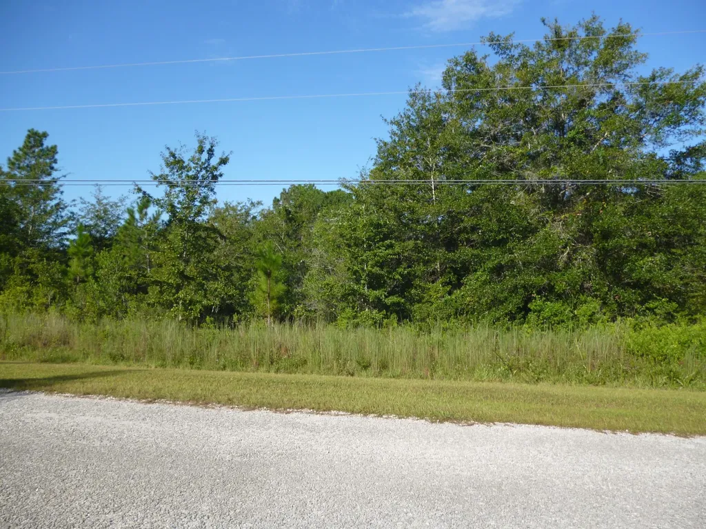 19 Orchid Avenue Middleburg FL 32068