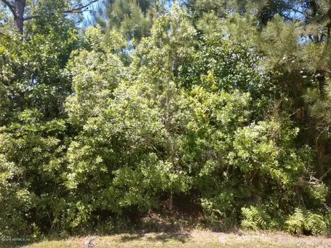 4625 Burdock Court Middleburg FL 32068