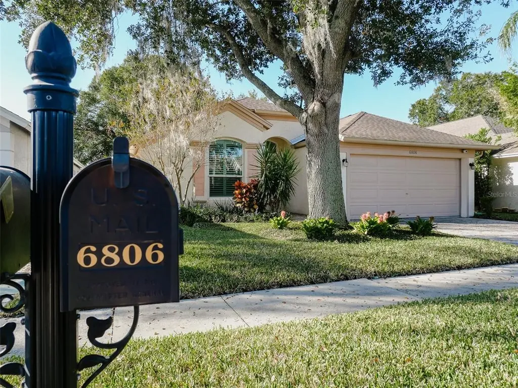 6806 Mirror Lake Avenue Tampa FL 33634
