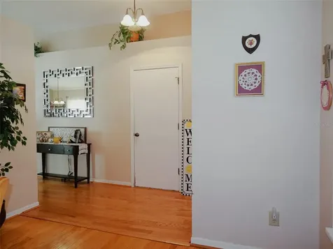 6806 Mirror Lake Avenue Tampa FL 33634